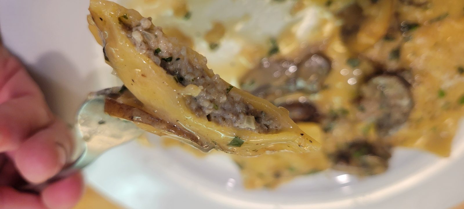 Homemade Mushroom Ravioli